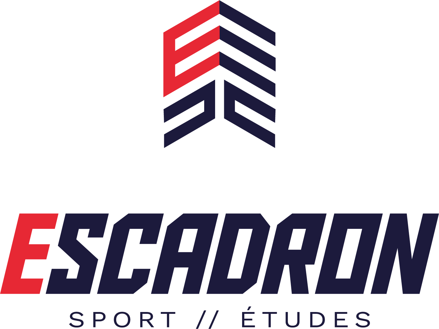 Logo_escadron
